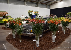 Lelies en Oldtimers, mooie combinatie!