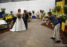 Bruiden liepen rond met een boeket van Liber Lilies. Dit om aan te geven dat ze pollenvrij zijn en dus de geen vlekken geven op de pachtige witte trouwjurken.