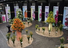 Dit jaar nam dit meer dan 100 jaar oude bedrijf voor het eerst deel aan het evenement.