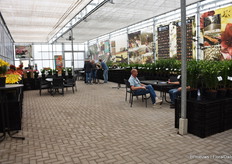 En meetings en afspraken tussen de lelies.