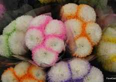 Bloemen van Vistaflor growing ideas