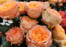 Bloemen van Del Alma