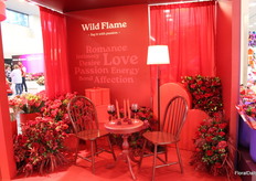 The Elite Flower by Hanna Ford