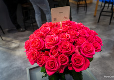 Tina, een van de Rosen Tantau nieuwigheden