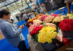 Van elke bloem zijn ongeveer 13095824 foto's gemaakt