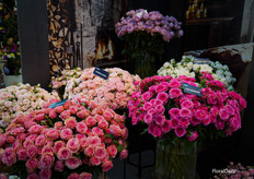 Trosrozen van De Ruiter