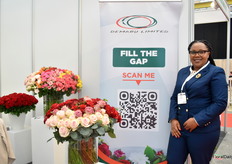 Mogi Ruth Macc van Demaru Limited