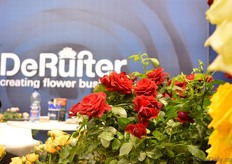 The Terrazza pot rose of Royal DeRuiter.