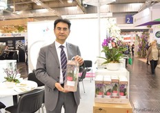 Alan Lu of Okidland showing his new orchid gift packaging concept. According to him, this gift packaging drastically increases his sales during holidays.