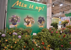 The Mix it up collection of Brandkamp were nicely presented at their booth.