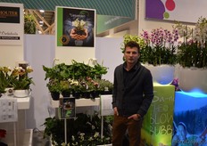 Ashwin Swart, Kwekerij De Liesvelden