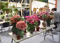 The big flowers remain popular and many questions were asked on the alstroemeria – what other colours it can be orderd, for example. It is part of a range so it’s available in many colours.