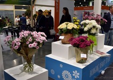 This year the hopes are high for the Baltica Salmon. “Baltica is a well known name and we expect the salmon colour to be a hit.” Also on display the strelitzia purple and of course the Magnum – launched here last year and appreciated for its size and quality.