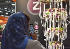 Photos and selfies everywhere. If you could clap in your hands and pile up all the mobile phones magically, you would create a tower as high as the Moscovian television tower. True story.