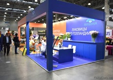 Greneth Plants always shares a booth together with Amnesia Export, focussing on the export of flower bulbs.