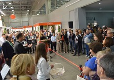 The opening of the show.