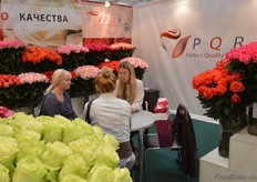 Colombian rose grower PQR Roses.