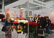 Busy times at Roseland Farm.