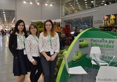 The team of Schneider youngplants.