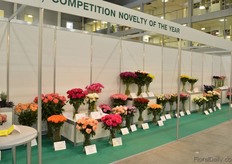 Competition Novelty of the year.