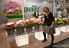 Antonia Feindura of PAC presenting their new interspecific pelargonium line. The plants in this line are on the one side compact and on the other side vigorous in the garden.