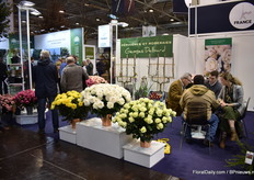 Also cut roses at the booth of Georges Delbard.