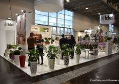 The large bright booth of Idel.