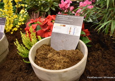 For the production of calluna, for example, Floragard has a mix completely without peat. In other mixes, growers can choose from 50 or 70 percent peat.