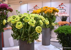 Real Clony Jean of Del Golfo.