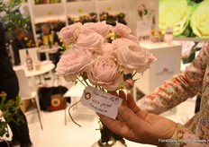 A new spray rose of Roses Forever; Rosa Loves Me with fatal attraction. It is a new big flowered spray rose.