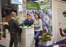 Bernard Chrysanthemums at the French pavilion.