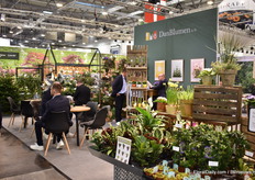 Meetings at Danblumen