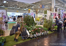 Visitors checking out the varieties at Minier PRO.