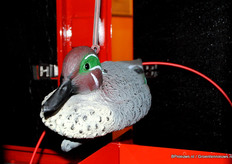 De beursvraag: waar is de eend te vinden?