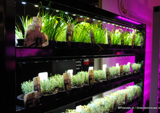 De Zuid-Koreaanse LED-lampen van Parus waren te vinden in de stand van VariPar.