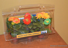 De spotlights waren o.a. voor de Micro Sunrise Mix