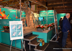 Kijkje in de stand van Interpolis