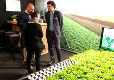 Maurice van der Knaap geeft wat uitleg over DryHydroponics aan twee internationale gasten van de HortiDaily Tour.