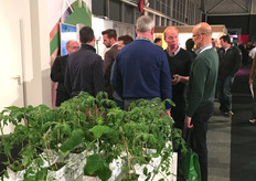 Drukte bij de stand van Grodan