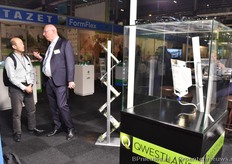 De felle lighten van QWestland