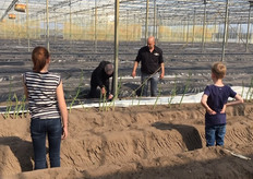 Opa in de leer bij Antonio van Beek om asperges te steken, de toekomst kijkt toe.