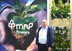 Klaas Droog van MNP Flowers, de veredelaar van Suntory® bloemen.