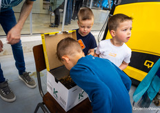 Altijd geliefd: de koningin van de hommels vinden