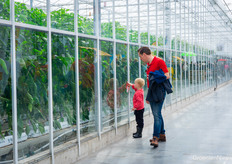 De verborgen wereld achter het glas
