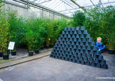 Dit, en daarna het omtrappen.