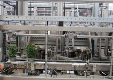 Een gele robot arm zet de planten in de transport tray. De volle tray verplaatst naar de rollenband waar ze op order weggezet worden