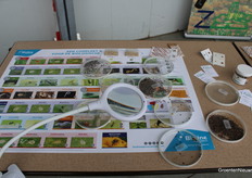 Welke beestjes spot jij?