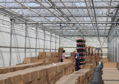 Bijna klaar voor transport