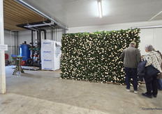 Een fotomuur vol potrozen bij Harg & Roses