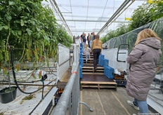 Via deze 'trap' kon je hoog boven het gewas uitkijken bij Bryte